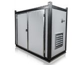 Дизельный генератор CTG 50P в контейнере с АВР